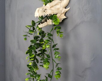 Pot de fleurs Skull – Design goutte-à-goutte | Jardinière décorative gothique succulente