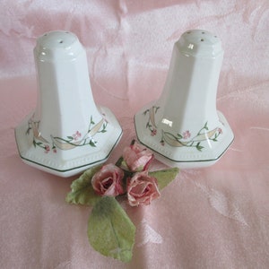 May include: Two white porcelain salt and pepper shakers with a floral design. The shakers have a hexagonal base and a flared top. Pink flowers and green leaves decorate the base. A small bouquet of pink roses sits between the shakers.