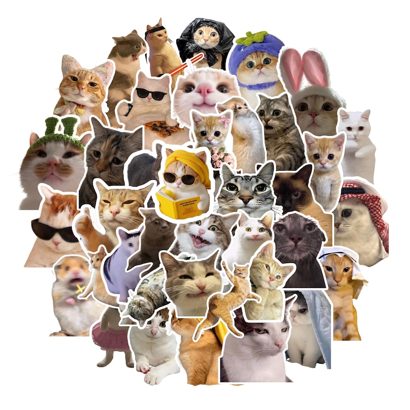 Stickers Meem Viral Cat Sticker Pack - Etsy