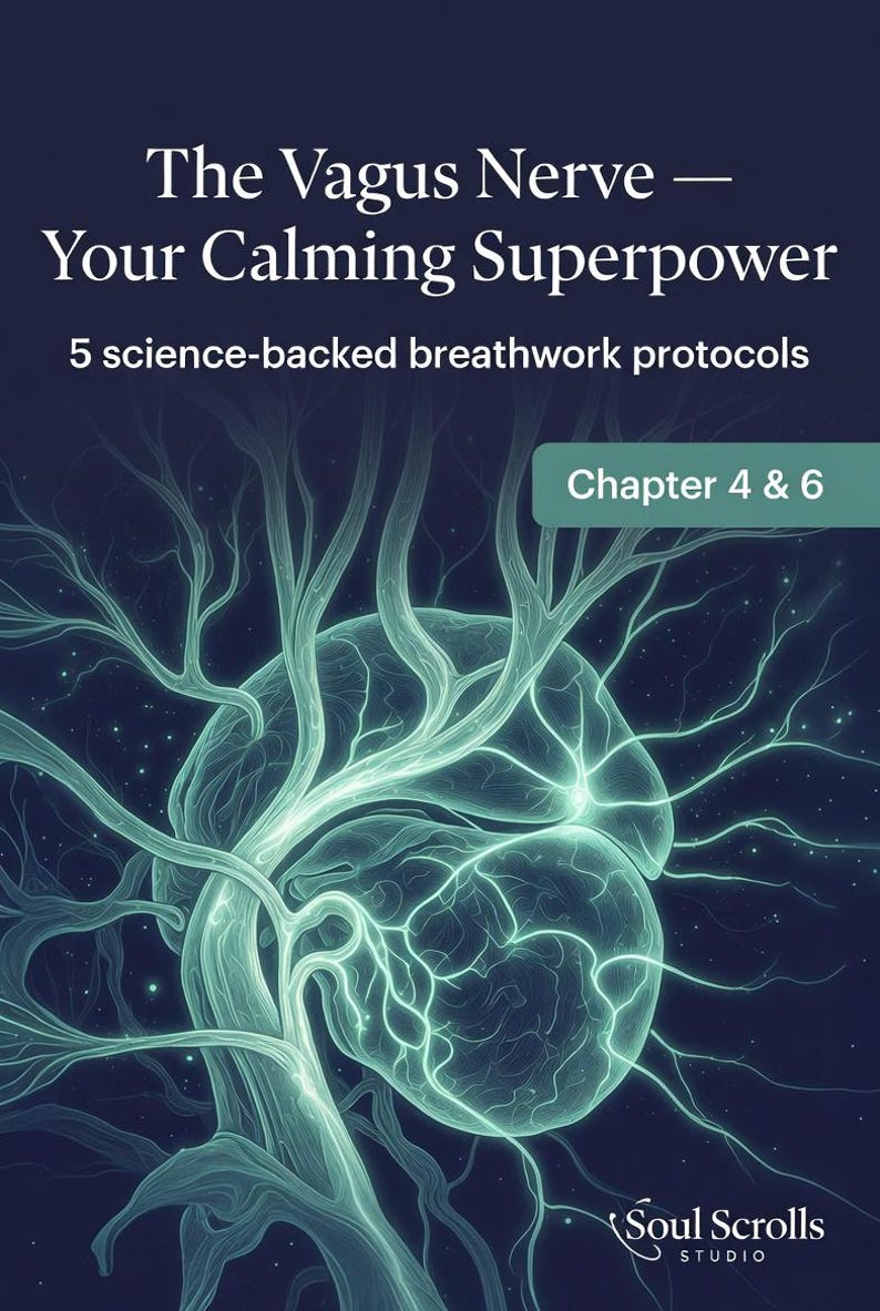Nervous System Reset Guide PDF | Vagus Nerve, Somatic Healing ...