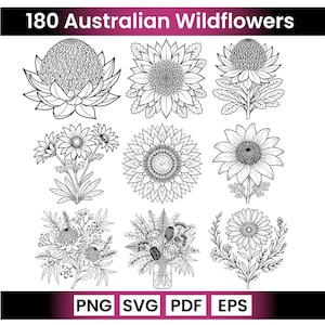 180 Australian Wildflowers SVG Bundle, Native Floral Clipart, Botanical Line Art, Cricut
