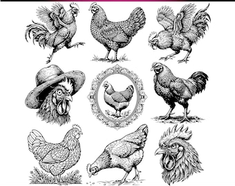 280+ Kyckling & Tupp SVG Bundle, Farm Hen Clipart, Farm Scene Designs, Rustikt Fjäderfä