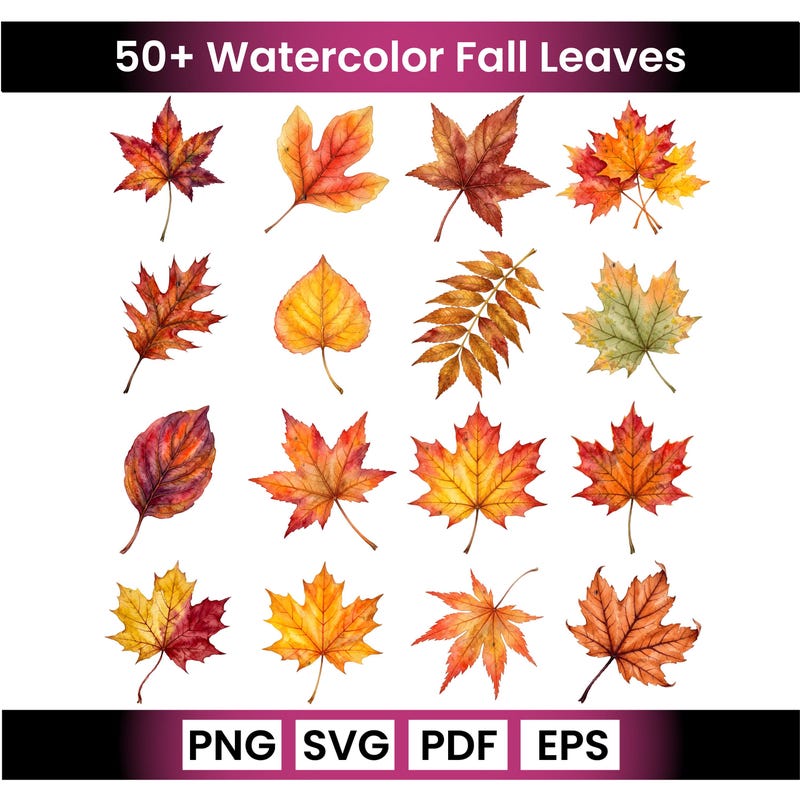 Fall Clipart Png Images - Etsy