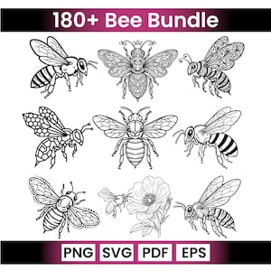 SVG-Bundle mit über 180 Bienenmotiven, floralen Wabenrahmen, Honigbienen-Cliparts, Cricut-Dateien (PNG, PDF, EPS)