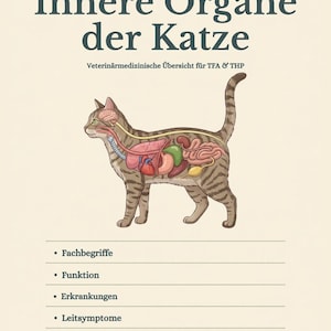Könnte beinhalten: Eine weiße Keramik-Tasse mit schwarzem Henkel und dem Text "But First, Coffee" in schwarzer, fetter Schrift. Die Tasse steht auf einer Holzoberfläche. Die Tasse ist 10 cm hoch.
