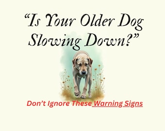 Senior Dog Health Journal, Pet Care Tracker (PDF Download)