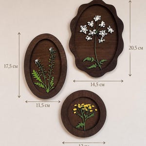 May include: Three dark brown wooden wall plaques featuring pressed botanical specimens. The oval plaque measures 17.5 cm by 11.5 cm, the scalloped plaque is 20.5 cm by 14.5 cm, and the circular plaque is 12 cm in diameter, each displaying green stems.