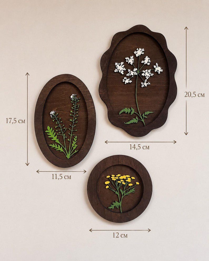 May include: Three dark brown wooden wall plaques featuring pressed botanical specimens. The oval plaque measures 17.5 cm by 11.5 cm, the scalloped plaque is 20.5 cm by 14.5 cm, and the circular plaque is 12 cm in diameter, each displaying green stems.