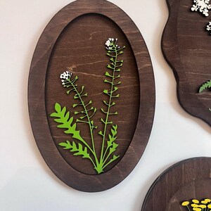 May include: An oval-shaped dark brown wooden wall plaque featuring a laser-cut green plant with small white flowers. The plant is centered within the recessed oval frame, showcasing detailed leaves and stems against the smooth wood grain background.