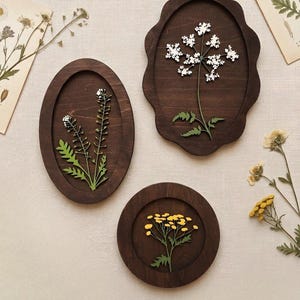 May include: Three dark brown wooden wall plaques featuring pressed botanical specimens. One oval plaque displays white flowers, one scalloped plaque shows a white umbel flower, and one circular plaque contains a cluster of small yellow flowers.