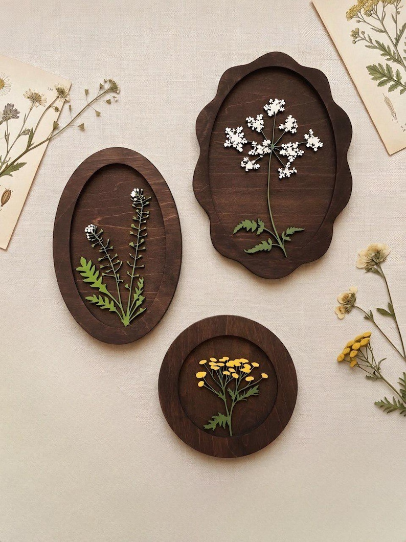 May include: Three dark brown wooden wall plaques featuring pressed botanical specimens. One oval plaque displays white flowers, one scalloped plaque shows a white umbel flower, and one circular plaque contains a cluster of small yellow flowers.