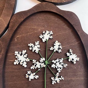May include: A dark brown wooden plaque with a scalloped edge featuring a white laser-cut flower with small orange centers. The flower has a thin green stem and multiple clusters of petals arranged in a radial pattern on the wood surface.