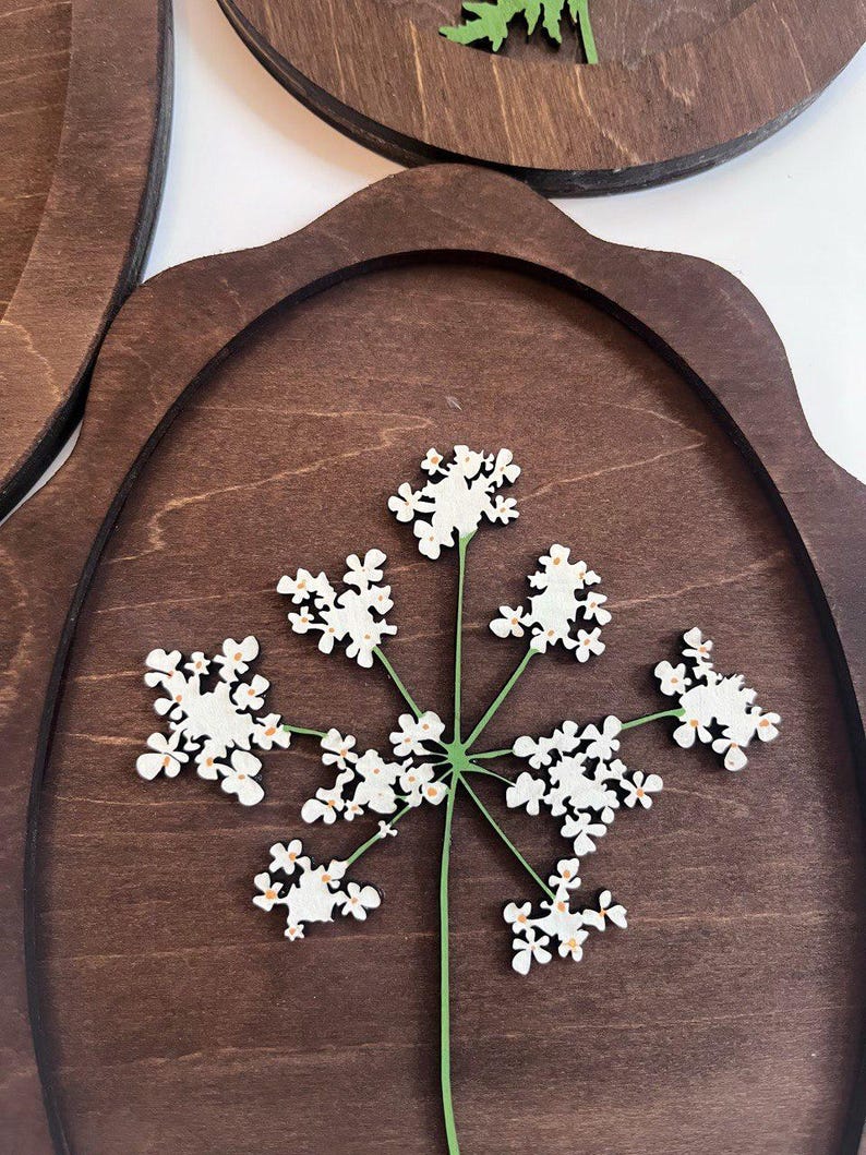 May include: A dark brown wooden plaque with a scalloped edge featuring a white laser-cut flower with small orange centers. The flower has a thin green stem and multiple clusters of petals arranged in a radial pattern on the wood surface.