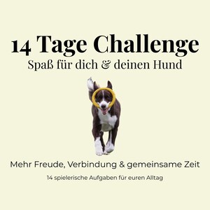 Puede incluir: Un perro marrón y blanco con un anillo amarillo en la boca, corriendo hacia el espectador. La imagen tiene texto que dice "14 Tage Challenge" y "Spaß für dich & deinen Hund". Texto adicional incluye "Mehr Freude, Verbindung & gemeinsame Zeit" y "14 spielerische Aufgaben für euren Alltag".