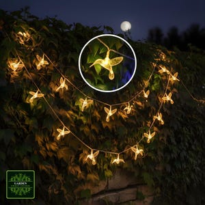 Guirlande lumineuse LED Colibri – Guirlande lumineuse de jardin à piles