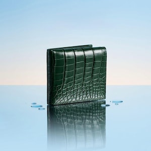 Pode incluir: Carteira de couro verde escuro com textura de pele de crocodilo. A carteira retangular é dobrável. O fundo é um gradiente de azul e branco, com algumas gotas de água.