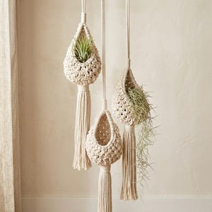 Puede incluir: Tres maceteros colgantes de macramé en color neutro. Cada soporte tiene un diseño de cesta tejida con una larga borla en la parte inferior. Los soportes contienen plantas aéreas verdes, añadiendo un toque de naturaleza a la decoración.