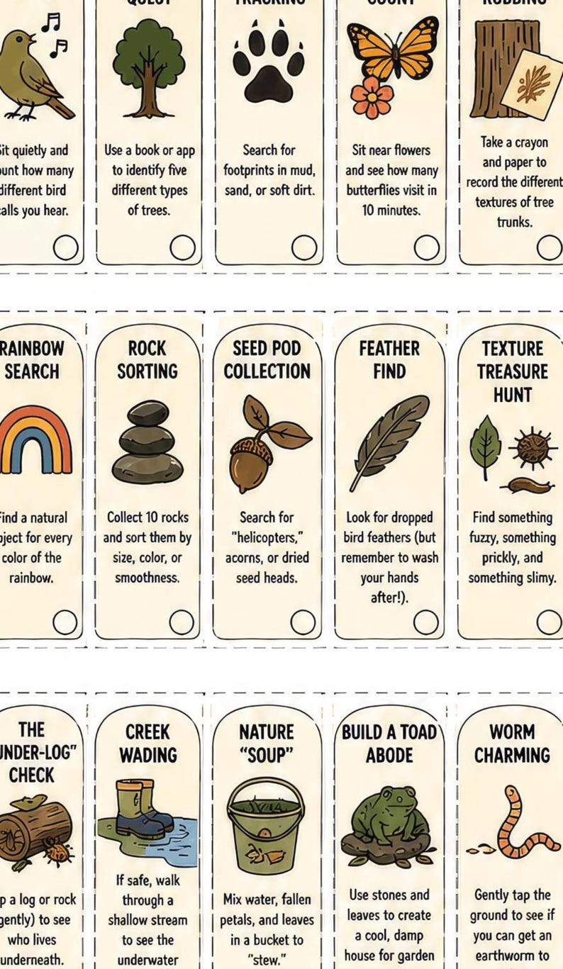 May include: Illustrated cards with nature-based activities. Each card suggests a different outdoor pursuit, including bird watching, tree identification, and rock sorting. The cards are designed for educational and recreational use.