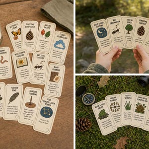 May include: A set of nature-themed activity cards with illustrations and text, including a jar labelled "Boredom Buster Cards." The cards feature activities like "Butterfly Count," "Ant Trail Tracking," and "Rock Sorting."