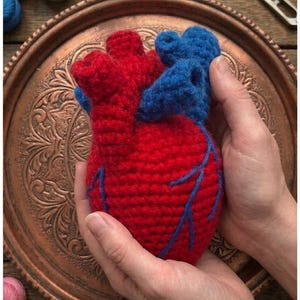 Pode incluir: Um coração anatômico de crochê, vermelho e azul, segurado em mãos. O coração apresenta detalhes de costura. O fundo inclui fios e ferramentas de artesanato.
