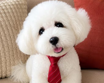 Schema Amigurumi per Cucciolo Bichon Frise all'uncinetto