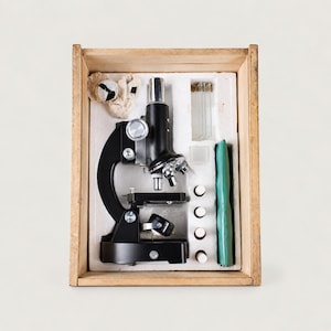 Vintage PAIM 40X-1200X Microscope Set, 1970s Scientific Kit, Wooden Box, Eyepieces, Slides & Original Accessories