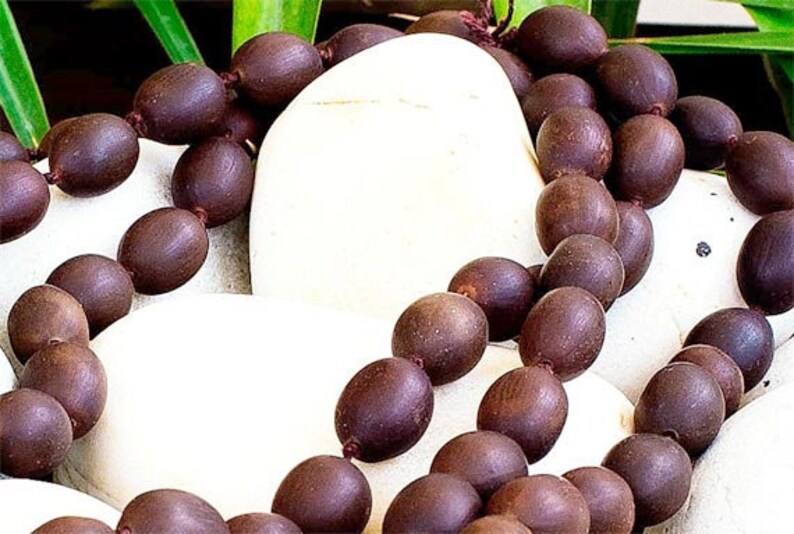 Lotus Seed Mala Beads for Yoga & Meditation 108 Beads Etsy