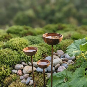 May include: Three rustic metal bird baths with water, set in a garden. The bird baths have a weathered, brown finish and are filled with water. The background features green moss, rocks, and foliage, creating a natural setting.