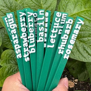 May include: A hand holds a bundle of green plant markers with white lettering. The markers are labeled with the names of various plants, including asparagus, strawberry, blueberry, basil, lettuce, plum, rhubarb, and rosemary. The background is blurred green foliage.