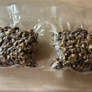 Black walnuts 2 lbs new 2024 crop