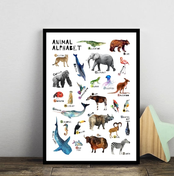 Animal Alphabet Poster