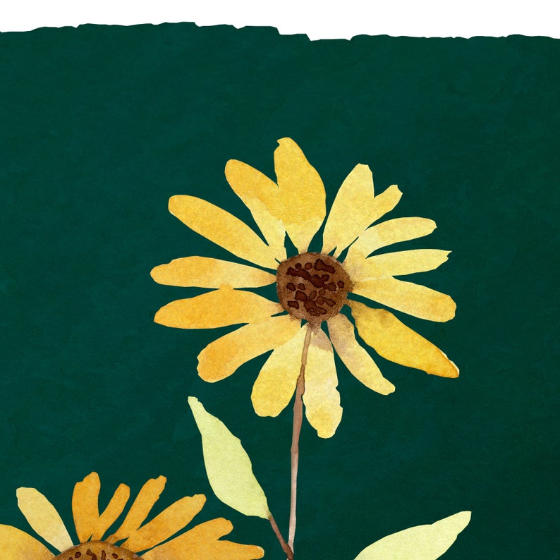 Puede incluir: Dos girasoles amarillos de acuarela con centros marrones sobre un fondo verde oscuro.