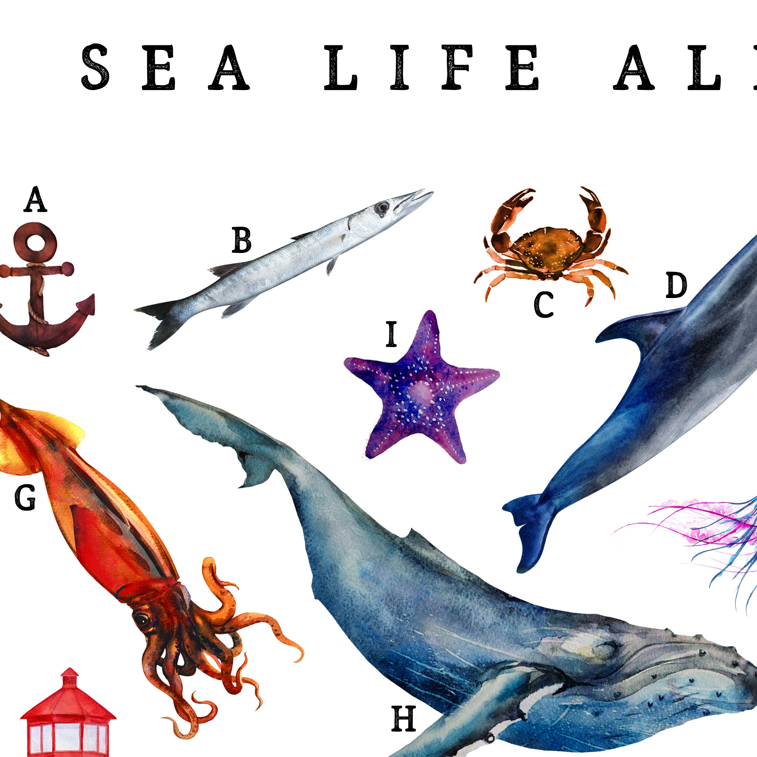 Sea Creatures Text Sea Life Abc, Sea Print Alphabet, Sea Creatures, Watercolour Animals ...