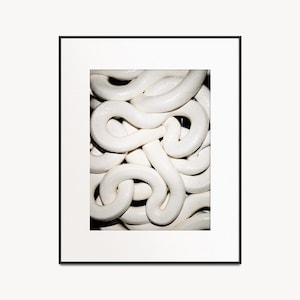 Serpiente Blanca, Lámina fotográfica de serpiente, Arte mural de naturaleza con espirales enredadas, Póster de reptil