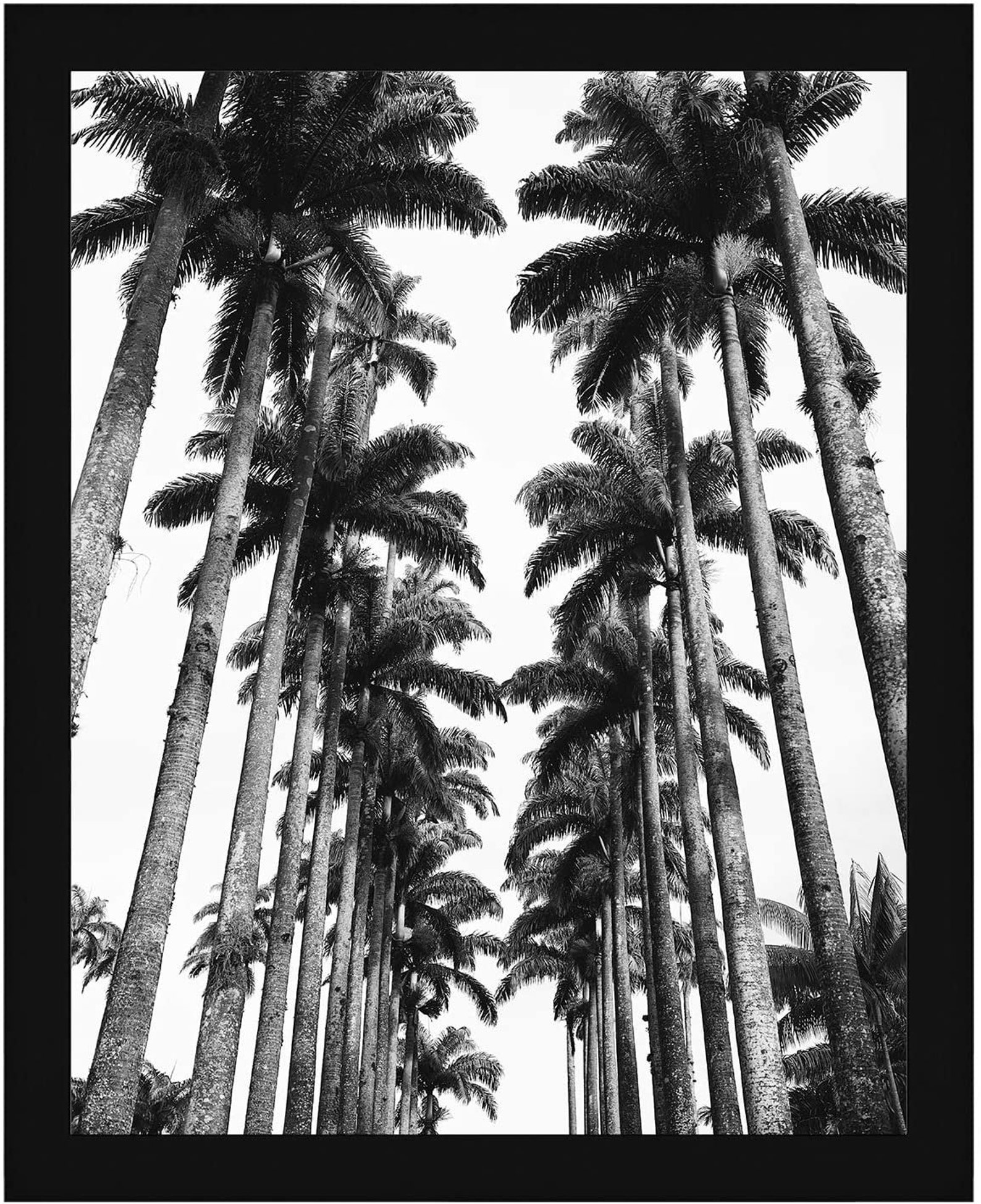 Black and White Poster Frames Multiple Sizes Available | Etsy