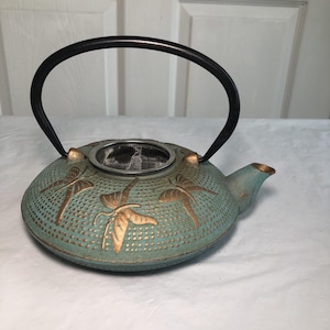 May include: A round cast iron teapot in a teal and bronze finish featuring embossed dragonfly motifs and a textured dotted pattern. The teapot includes a black arched metal handle and a removable stainless steel mesh tea infuser basket.