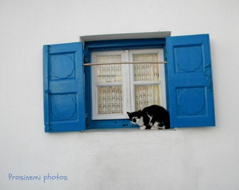 Blue summer decoration, blue white travel photo , Βlue window with a cat,  home wall art print, summer decor Greece Mykonos