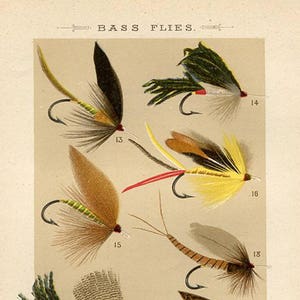 Pode incluir: Uma ilustração vintage de nove moscas de pesca de baixo diferentes. As moscas são representadas em detalhe, com várias cores e materiais. A ilustração é etiquetada como "Bass Flies" e inclui o texto "Made by C.F. ORVIS, Manchester, Vt. COPYRIGHTED".