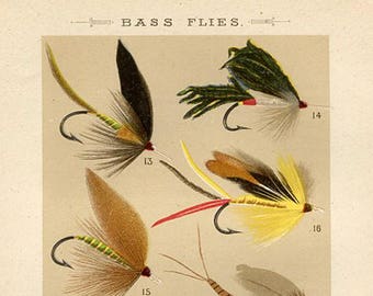 Grabado antiguo de pesca con mosca. Moscas para la pesca de lubina. Ilustración original de Orvis-Cheney de 1886. Entusiasta de la pesca deportiva. Regalo para pescadores.