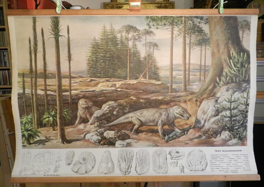 4363 外国切手 ガイアナ 1993年 恐竜 先史時代の爬虫類 12面入シート 61z2GLjyQgL.jpg