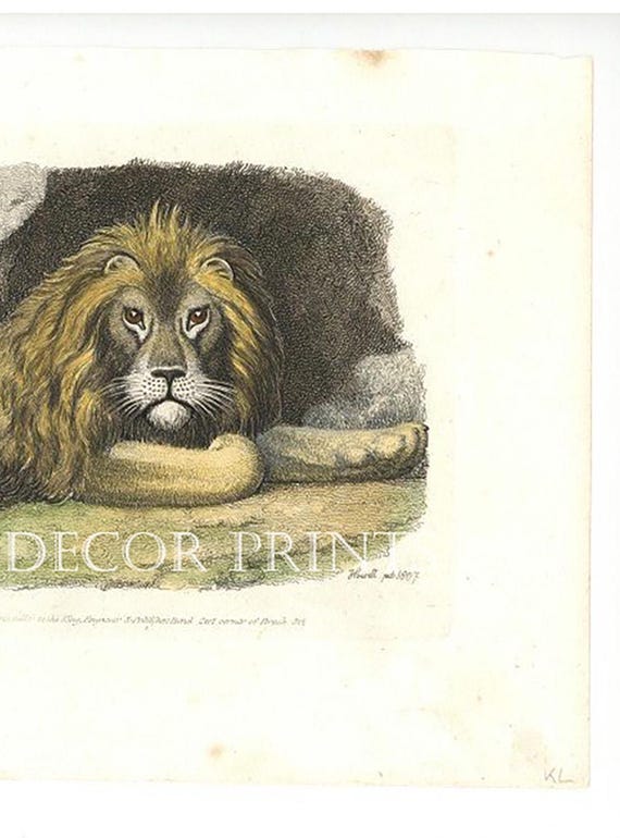 Jeu éducatif Vintage Lionrama « Sur Le Pont D’Avignon » - Années 70, En Carton, Pour Enfants 8‑11 Ans