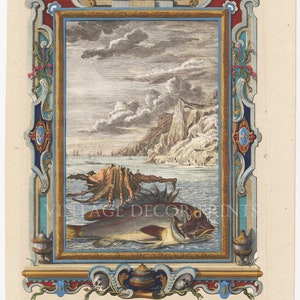 May include: An antique engraving depicting a scorpion emerging from the sea. The engraving is framed with a decorative border and includes text from the Book of Revelation. The text reads "Aroc. Cap. IX. V. 3.4.5.10. Scorpius."