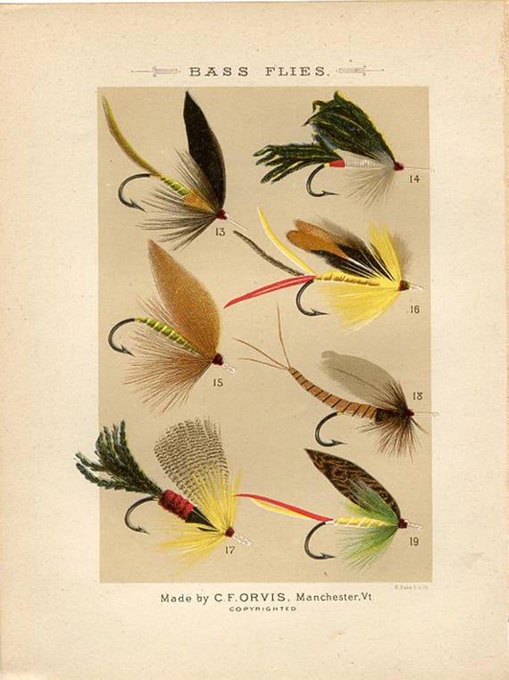 Antique Fly Fishing Print. Bass Fishing Flies. Original 1886 Orvis