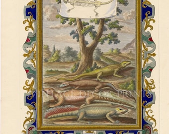 Impression de reptiles et de lézards de Scheuchzer Physica Sacra. Colorée à la main. Décoration spéciale 1728 Décoration murale antique1 du 8e siècle