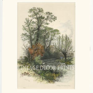Op de afbeelding: Vintage landschapsprint met een serene rivierscène met weelderig groen en bomen. Het kunstwerk bevat een verscheidenheid aan bladeren in groen-, bruin- en roodtinten, met de tekst "VINTAGE DECOR PRINTS" onderaan.