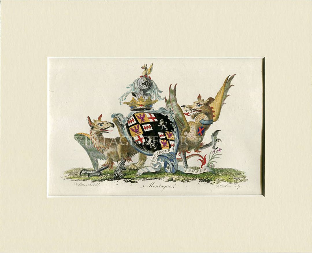 Coat of Arms, 1790 Heraldry Print for montague Original Armorial