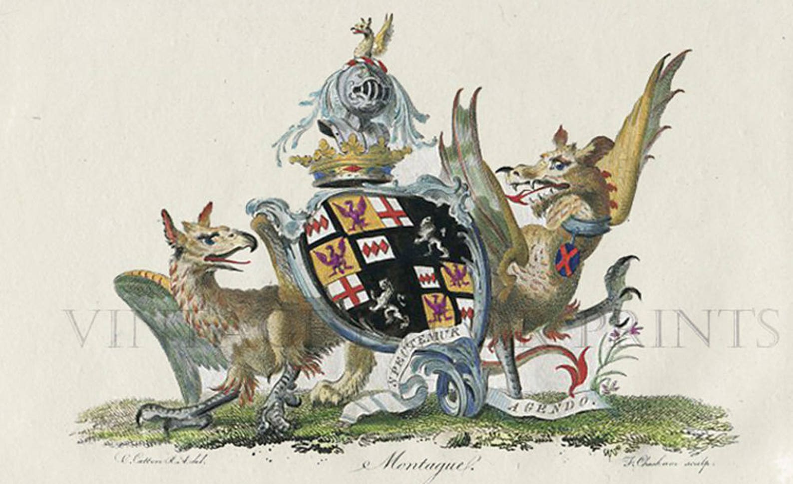 Coat of Arms, 1790 Heraldry Print for montague Original Armorial