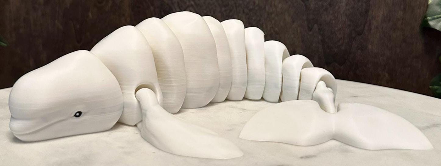 Articulated Beluga Whale Fidget Toy | 3D Printed Ocean Animal Desk ...