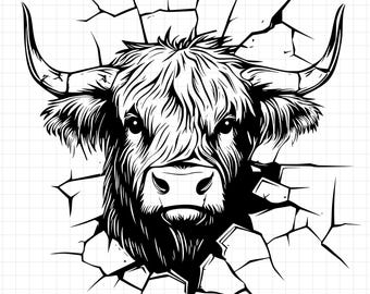 Highland Cow SVG, Highland Cow PNG, Custom Highland Cow, Personalized Highland Cow, T Shirt Design, Sublimation, Digital Download