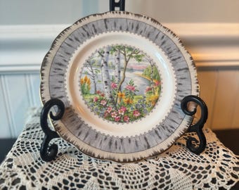 Royal Albert Silver Birch-mönster fint benporslin, salladstallrik, tillverkad i England